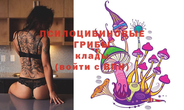 MDMA Бородино