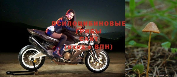 apvp Бугульма