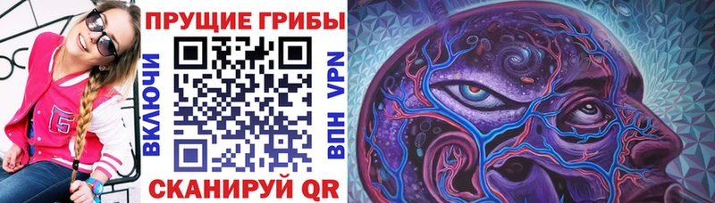Купить закладки  Вяземский  Галлюциногенные грибы Magic Shrooms 