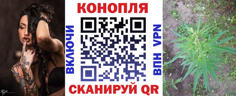 Купить где Вяземский Бошки Шишки Amnesia